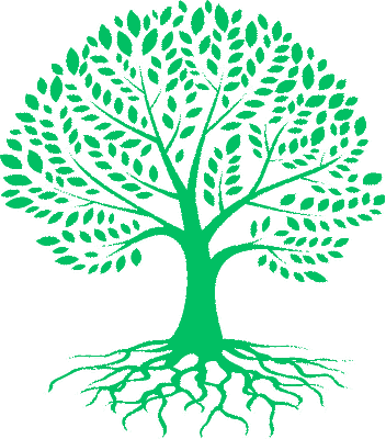 North Star Tree Services logo