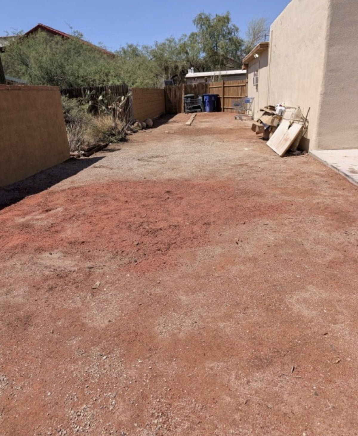 area after expert tree removal, Tucson AZ